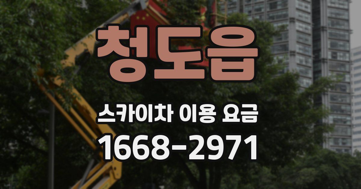청도읍 스카이차 이용 요금