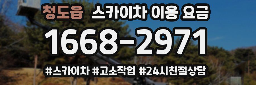 청도읍 스카이차 이용 요금