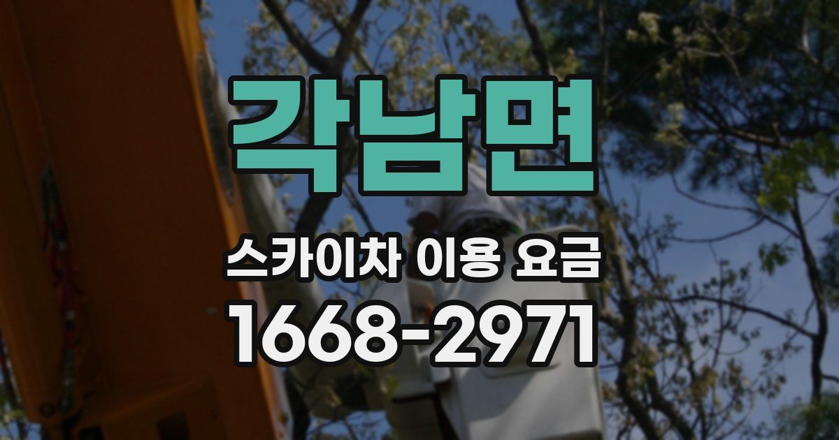 각남면 스카이차 이용 요금
