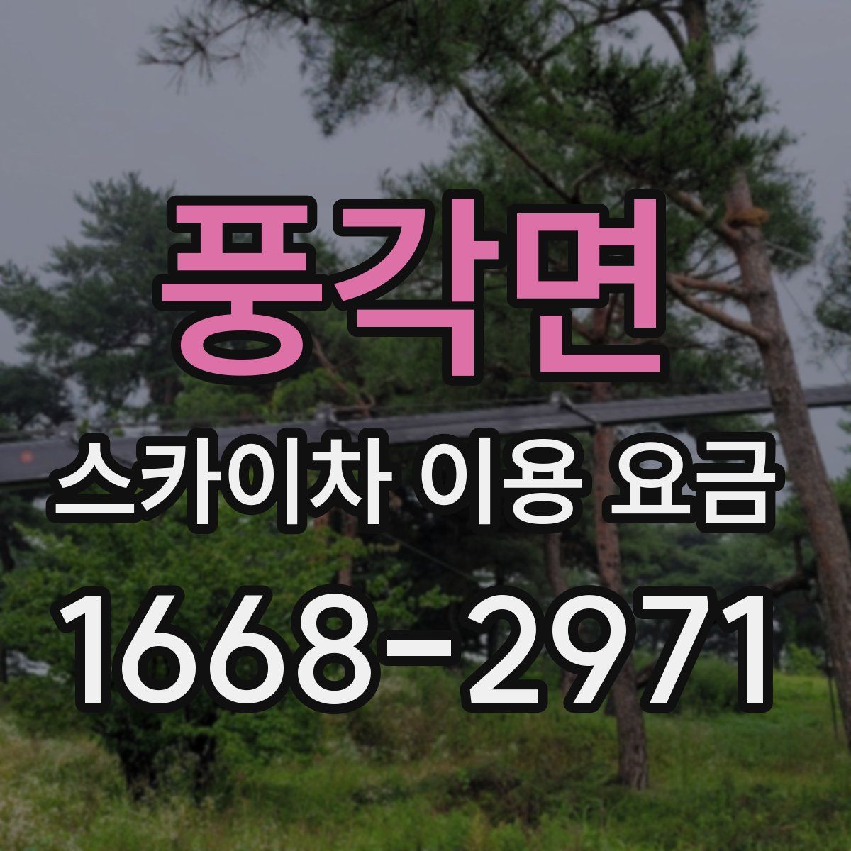 풍각면 스카이차 이용 요금