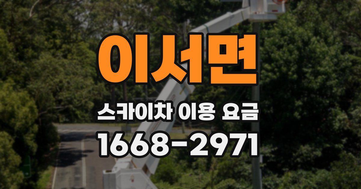 이서면 스카이차 이용 요금