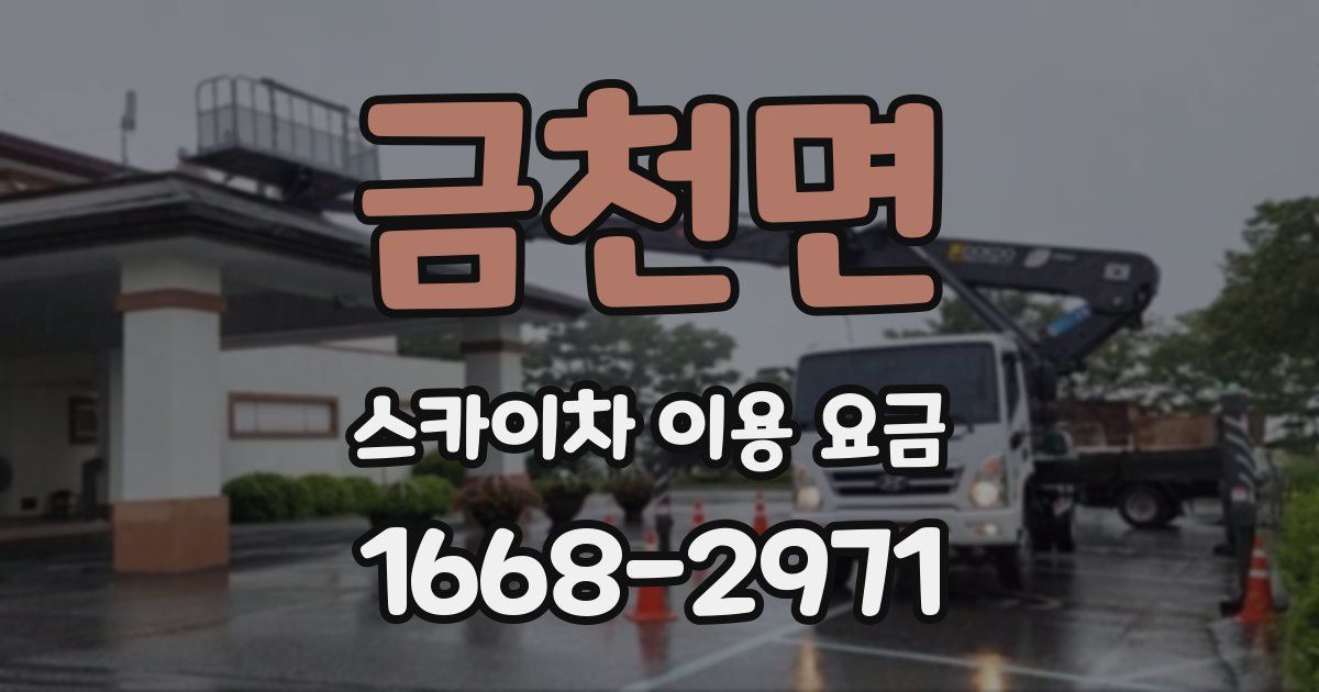 금천면 스카이차 이용 요금
