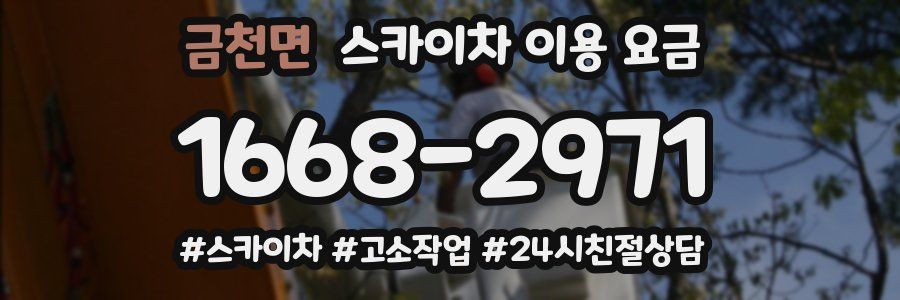 금천면 스카이차 이용 요금