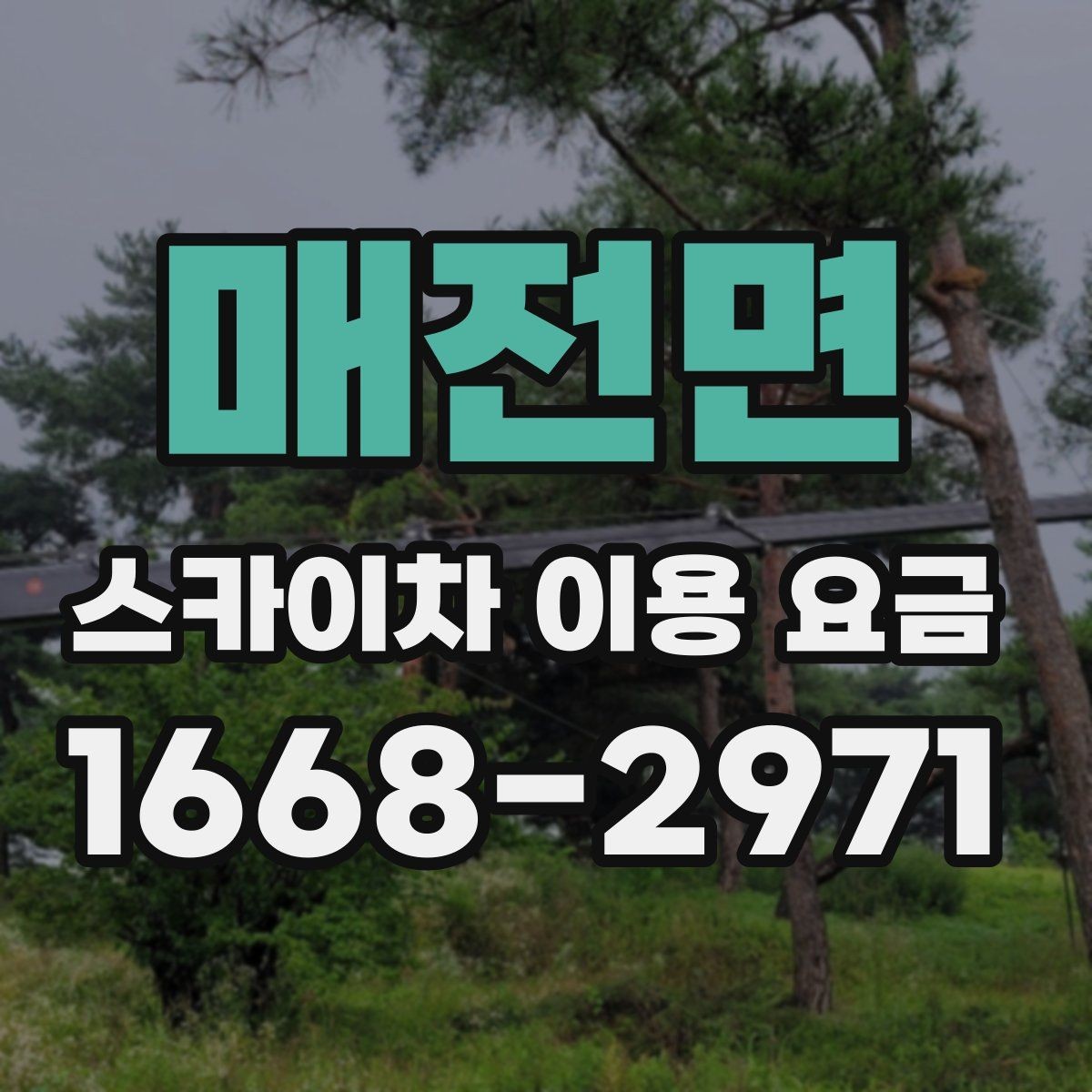 매전면 스카이차 이용 요금 확인할 때 알아두면 편한 점