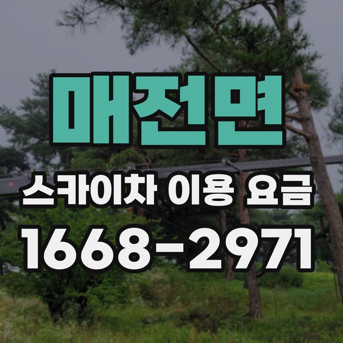 매전면 스카이차 이용 요금