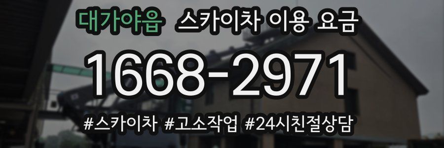 대가야읍 스카이차 이용 요금
