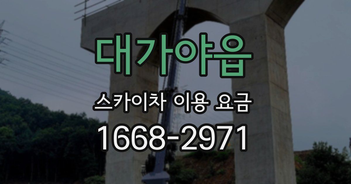 대가야읍 스카이차 이용 요금