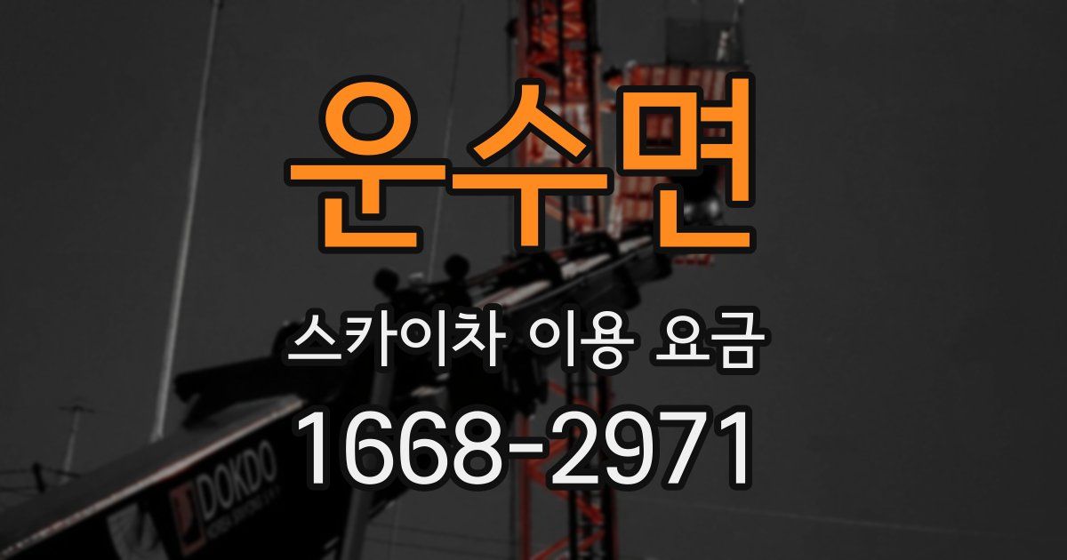 운수면 스카이차 이용 요금