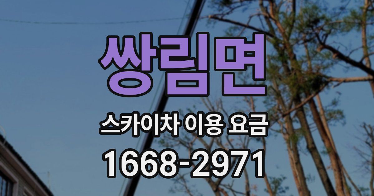 쌍림면 스카이차 이용 요금