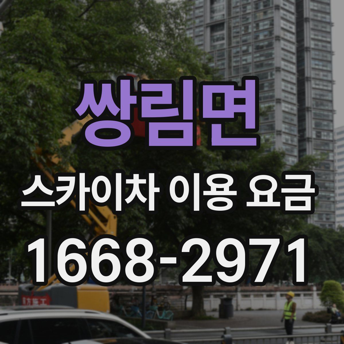 쌍림면 스카이차 이용 요금