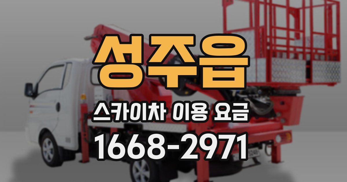 성주읍 스카이차 이용 요금