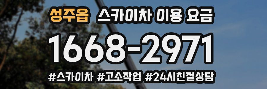 성주읍 스카이차 이용 요금