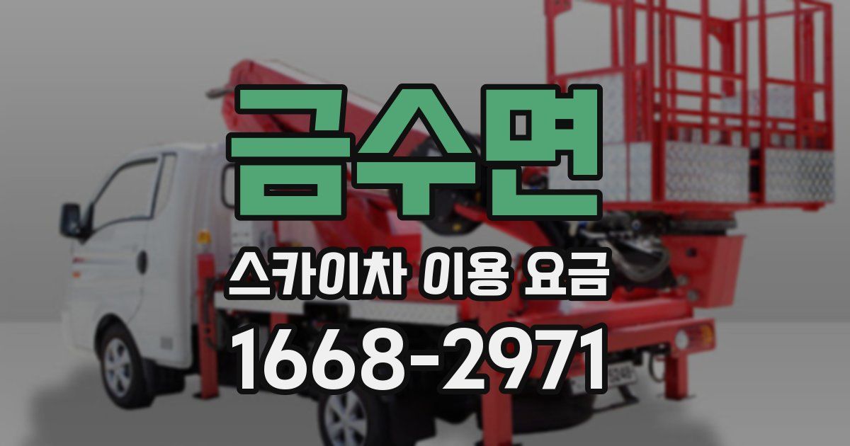 금수면 스카이차 이용 요금
