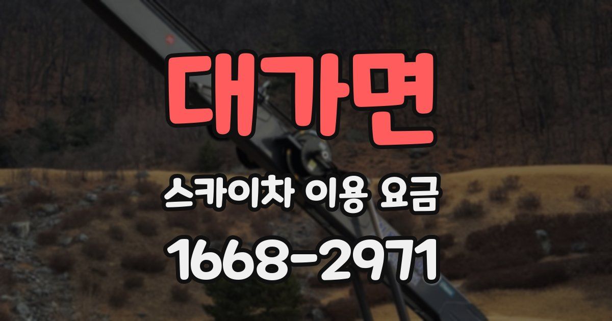 대가면 스카이차 이용 요금