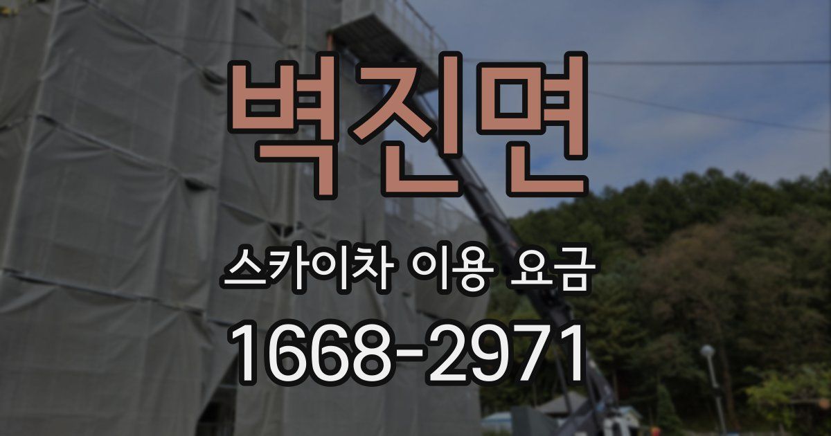 벽진면 스카이차 이용 요금