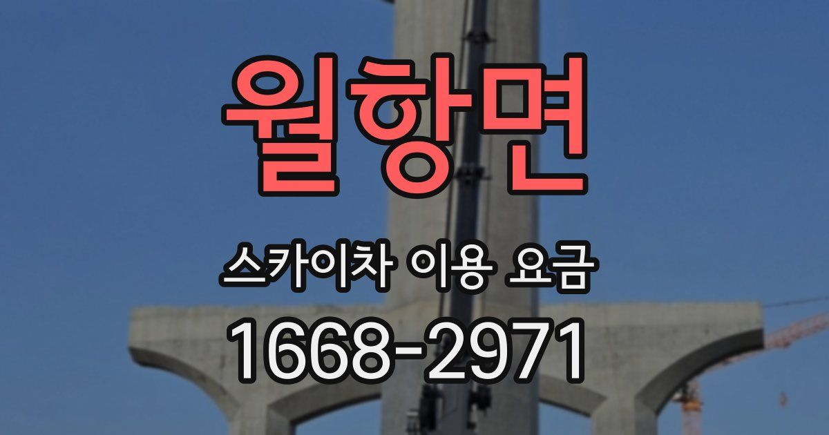 월항면 스카이차 이용 요금