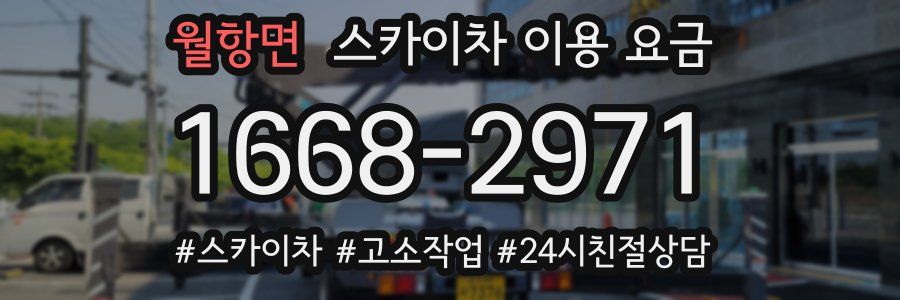 월항면 스카이차 이용 요금
