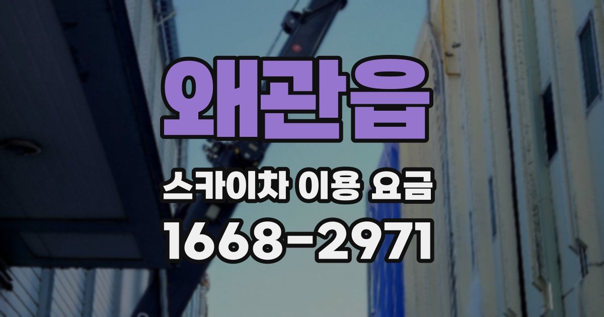 왜관읍 스카이차 이용 요금