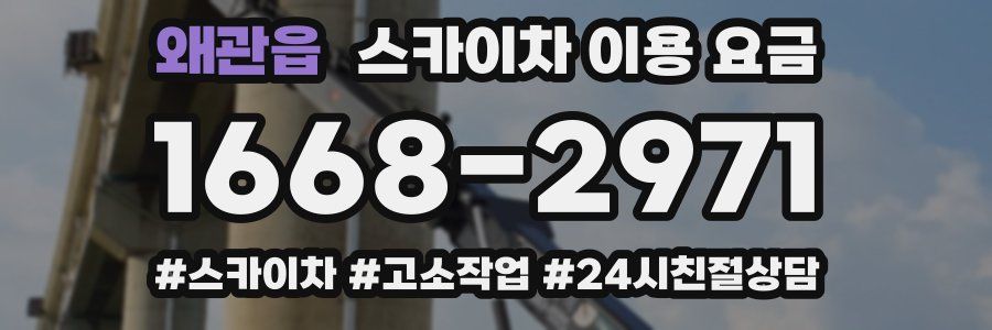 왜관읍 스카이차 이용 요금