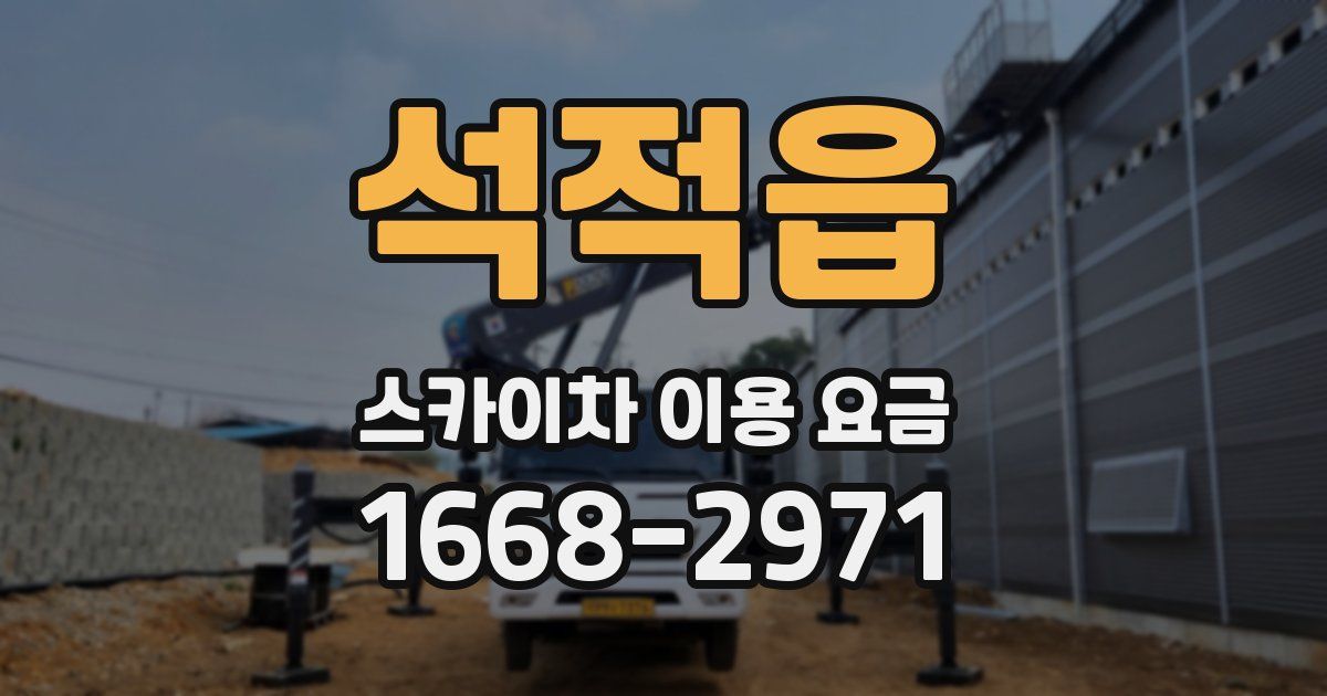 석적읍 스카이차 이용 요금