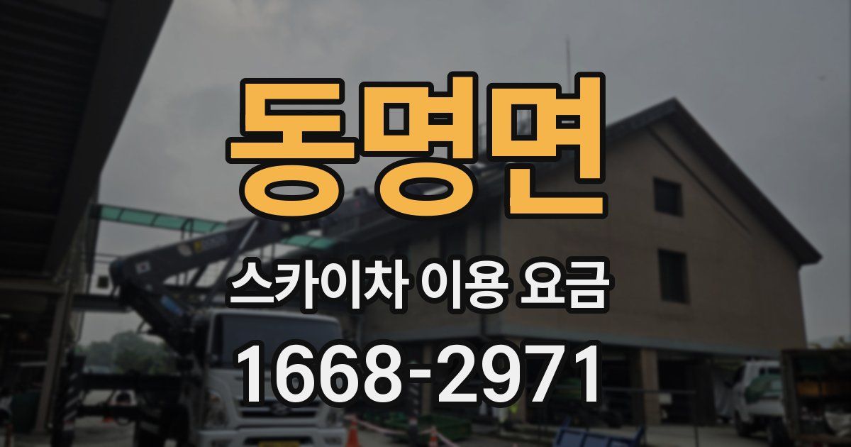 동명면 스카이차 이용 요금