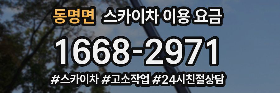 동명면 스카이차 이용 요금