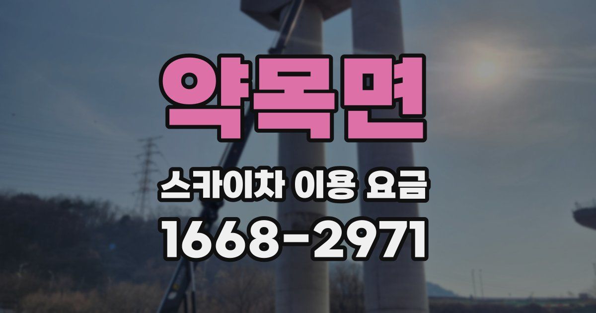 약목면 스카이차 이용 요금