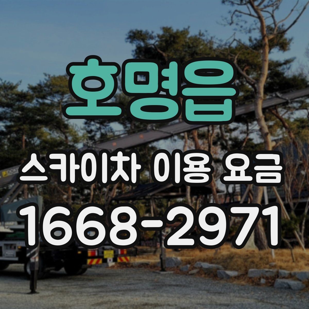 호명읍 스카이차 이용 요금 안내에서 꼭 확인할 세부 항목