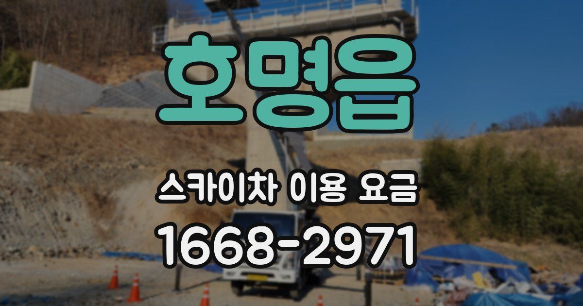호명읍 스카이차 이용 요금