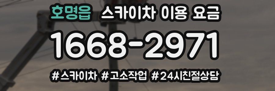 호명읍 스카이차 이용 요금