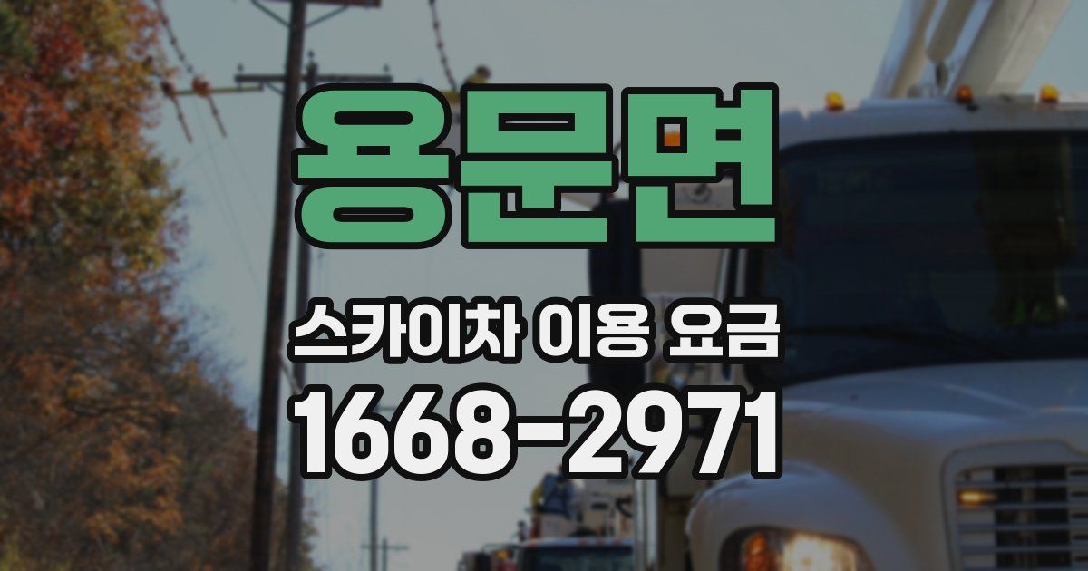 용문면 스카이차 이용 요금