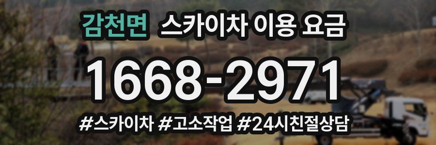 감천면 스카이차 이용 요금