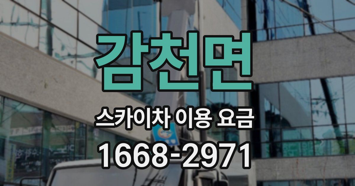 감천면 스카이차 이용 요금