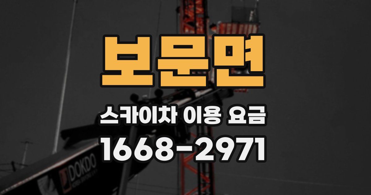 보문면 스카이차 이용 요금
