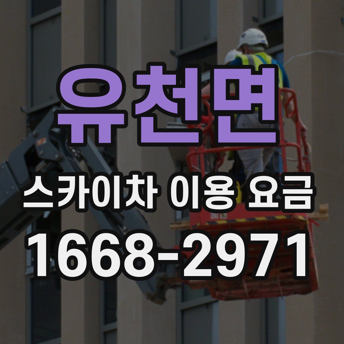 유천면 스카이차 이용 요금