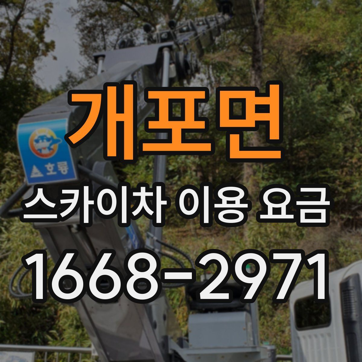 개포면 스카이차 이용 요금