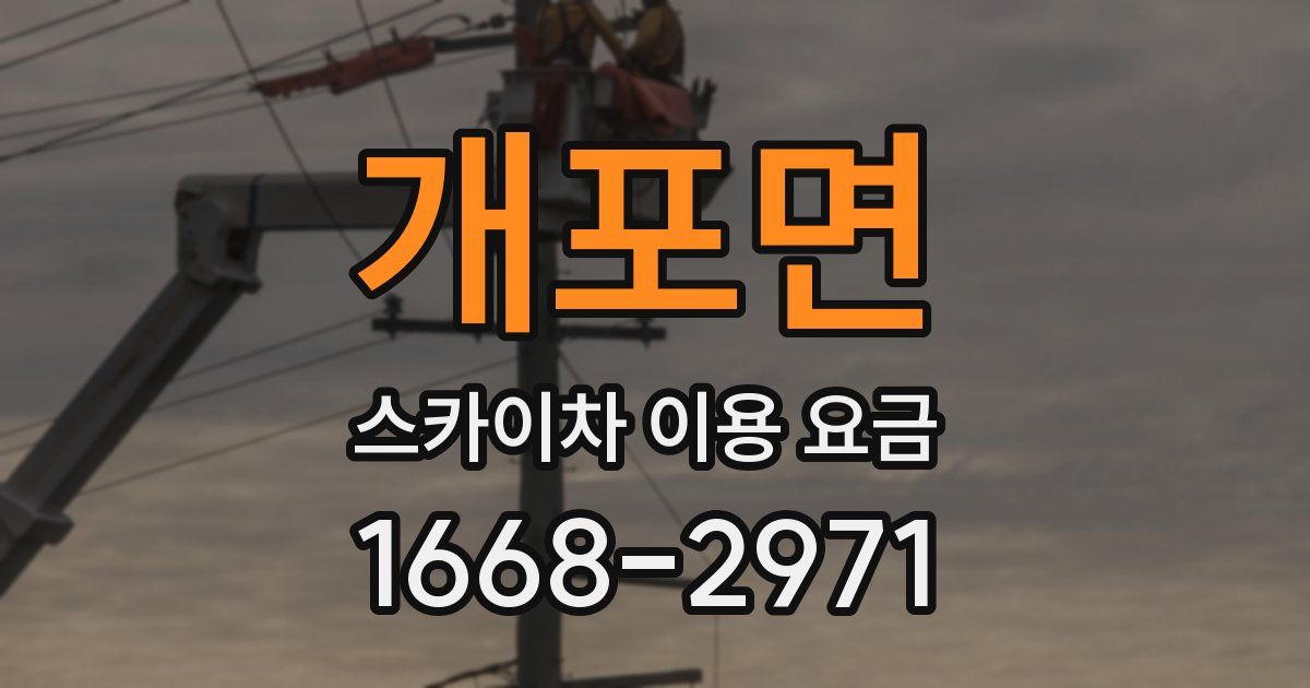 개포면 스카이차 이용 요금