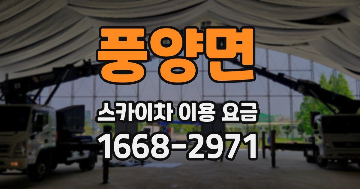 풍양면 스카이차 이용 요금