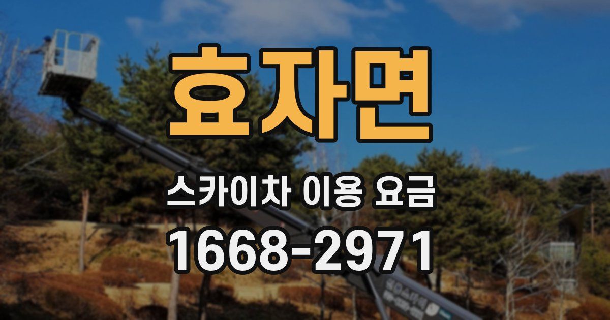 효자면 스카이차 이용 요금
