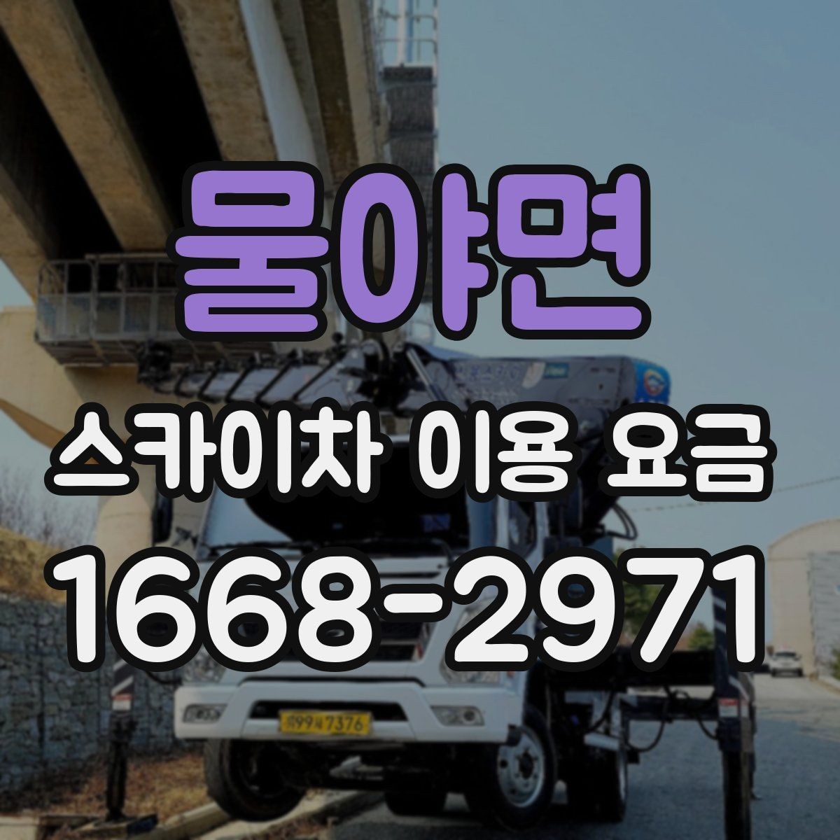 물야면 스카이차 이용 요금 산정 시 놓치기 쉬운 부분