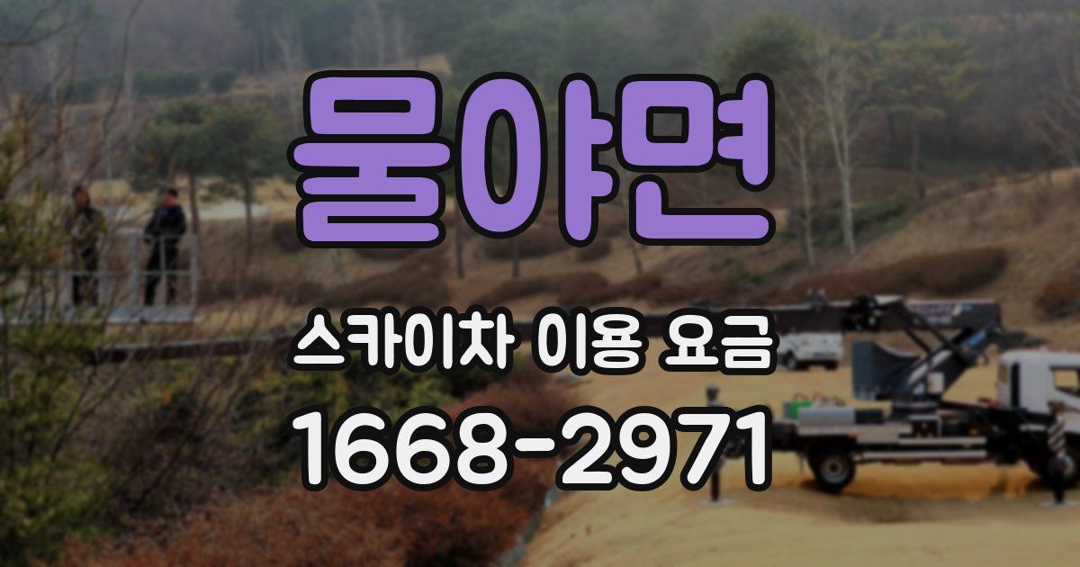 물야면 스카이차 이용 요금
