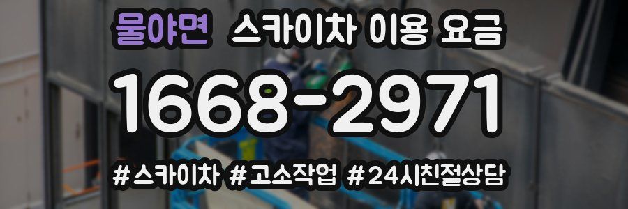 물야면 스카이차 이용 요금