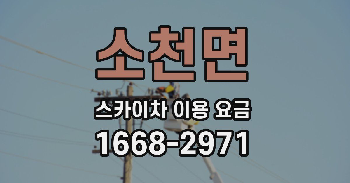 소천면 스카이차 이용 요금