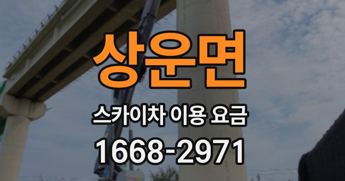 상운면 스카이차 이용 요금