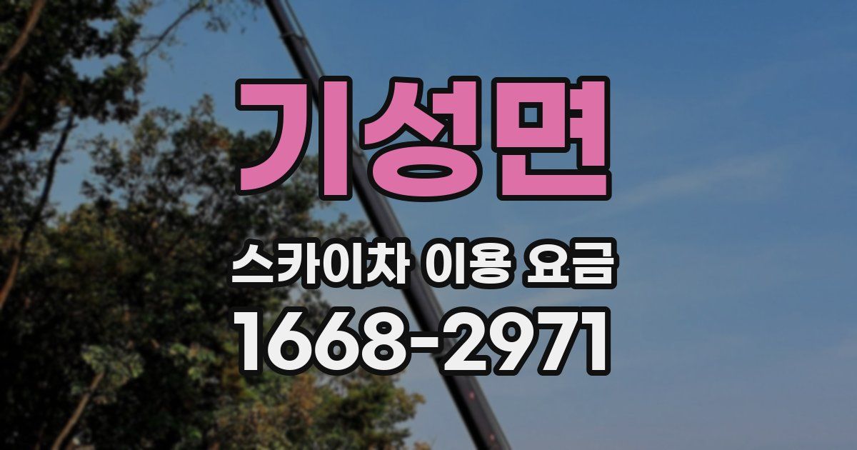 기성면 스카이차 이용 요금