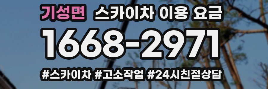 기성면 스카이차 이용 요금