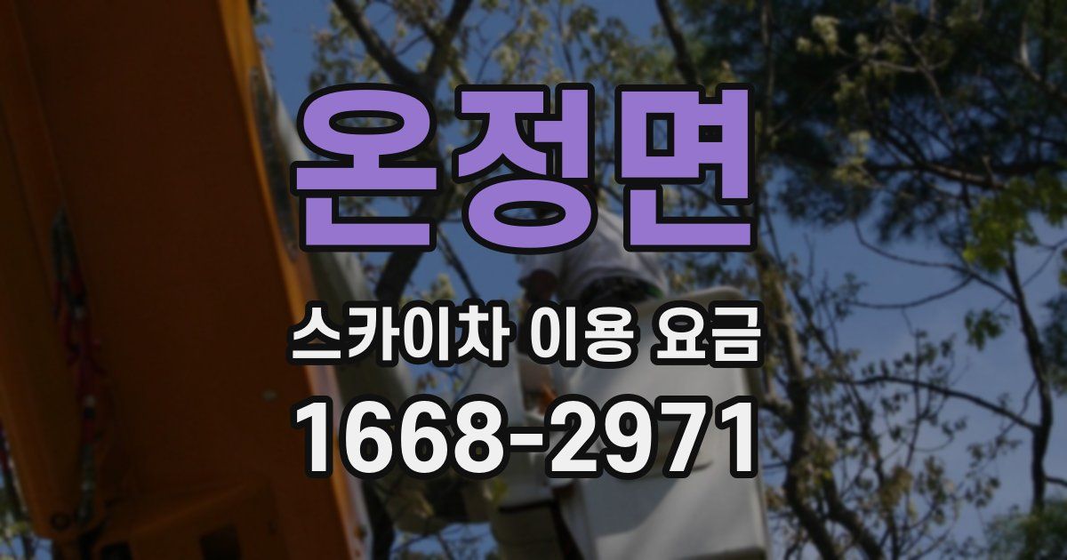온정면 스카이차 이용 요금