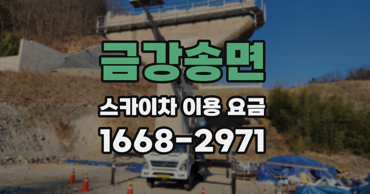 금강송면 스카이차 이용 요금
