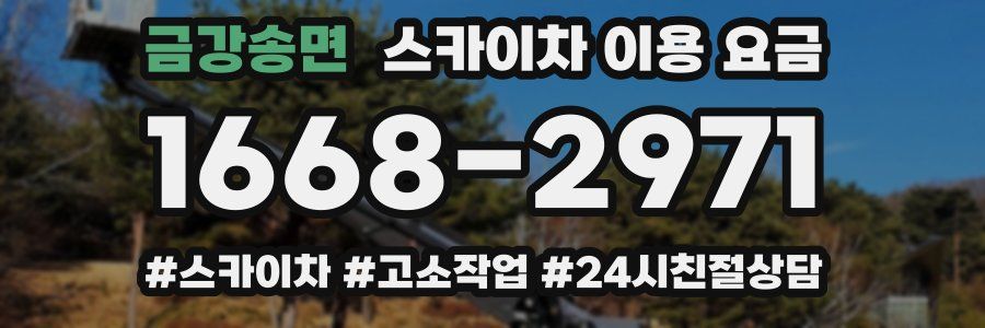 금강송면 스카이차 이용 요금