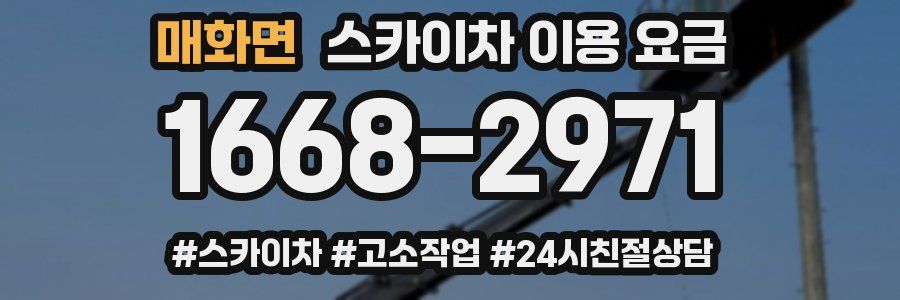 매화면 스카이차 이용 요금